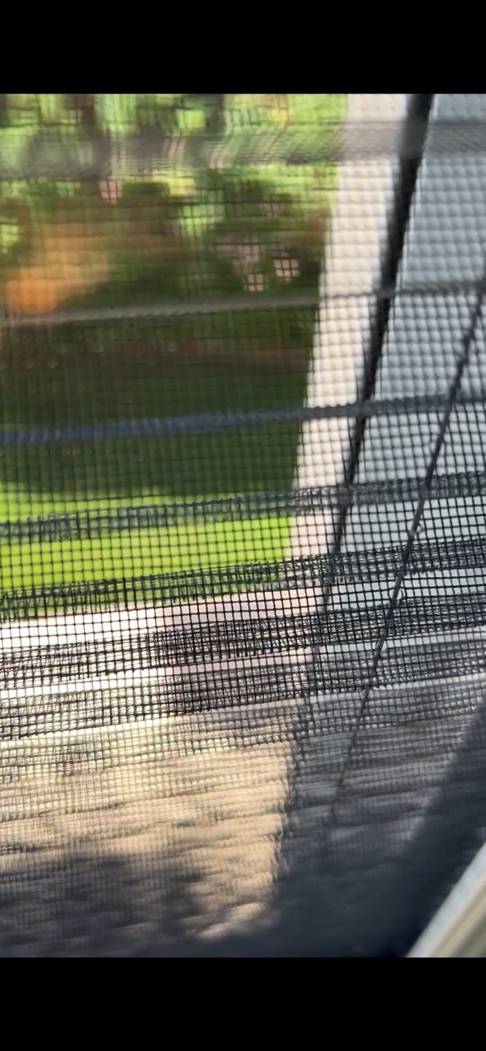 Aluminium Mosquito Screen - Image 2